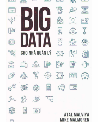 Big Data Cho Nhà Quản Lý