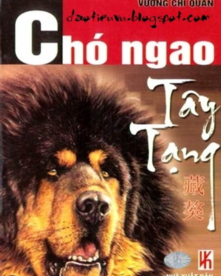 Cho Ngao Tay Tang