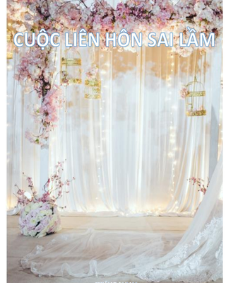 Cuộc Liên Hôn Sai Lầm