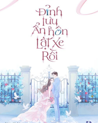 Đỉnh Lưu Ẩn Hôn Lật Xe Rồi