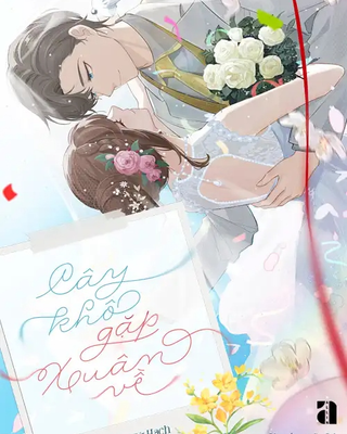 Cây Khô Gặp Xuân Về