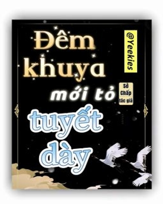 Đêm Khuya Mới Tỏ Tuyết Dày