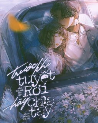 Trước Khi Tuyết Rơi Hãy Chia Tay