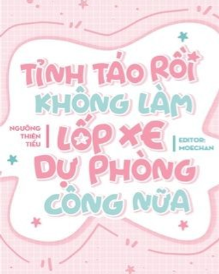 Tỉnh Táo Rồi Không Làm Lốp Xe Dự Phòng Công Nữa!