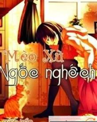 Mèo Xù Ngốc Nghếch
