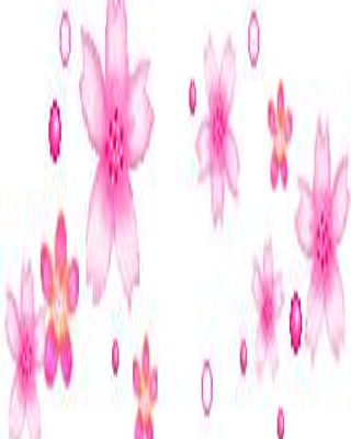 Hạnh phúc giống như một đóa hoa