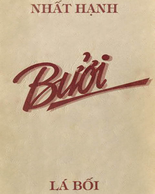 Tùng Bưởi Hồng