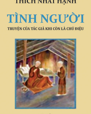 Tình Người