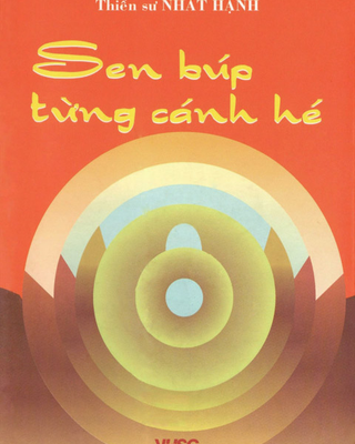 Sen Búp Từng Cánh Hé