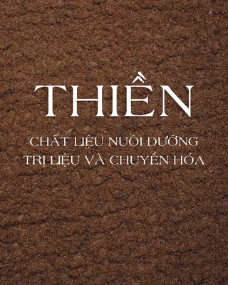 Thiền - Chất Liệu Nuôi Dưỡng Trị Liệu Và Chuyển Hóa