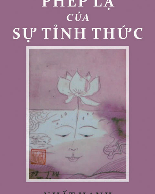 Phép Lạ của Sự Tỉnh Thức