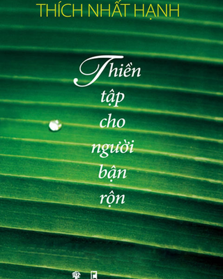 Thiền Tập Cho Người Bận Rộn